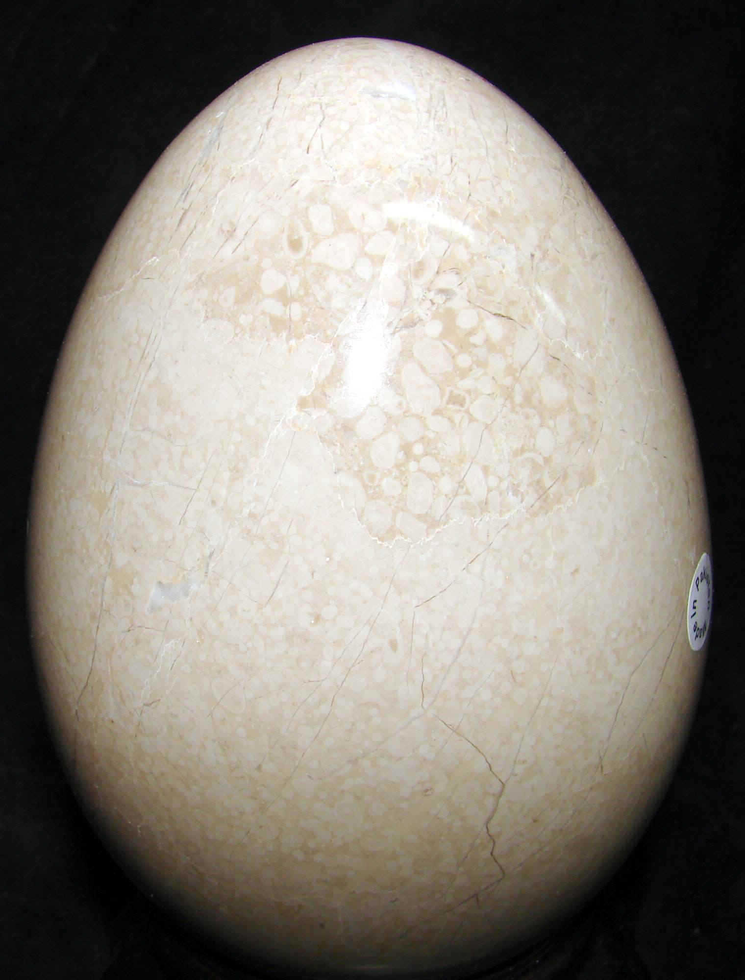 fossilmarbleegg7.jpg (456441 bytes)